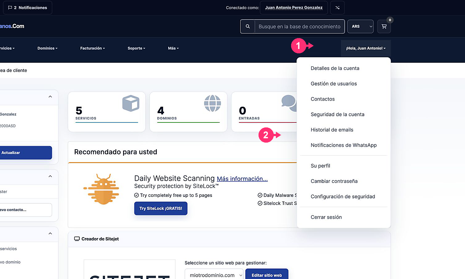 Menu de perfil com a opção Histórico de e-mails destacada
