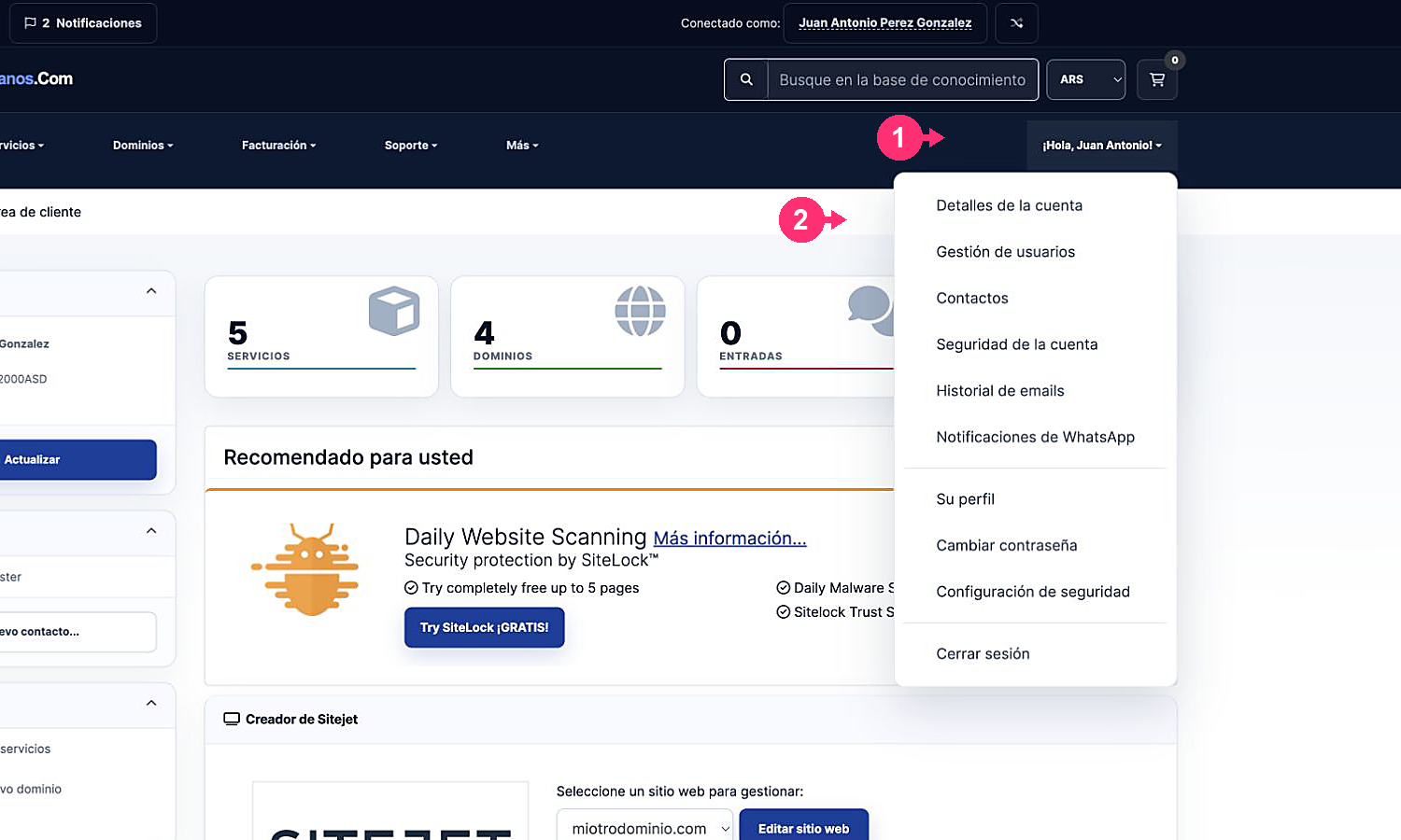 Menu de perfil com Gestão de usuários sinalizada